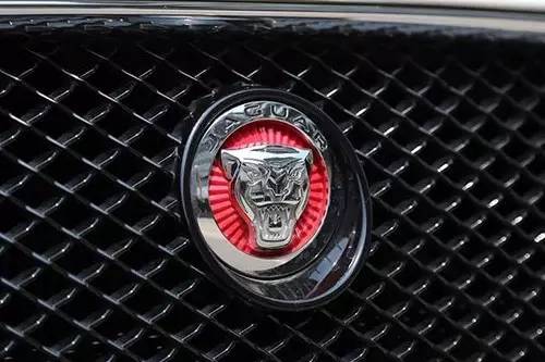 車標(biāo)上的動(dòng)物都是啥來(lái)頭？看完又能出去裝X了