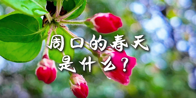 周口的春天，待你慢慢遇見